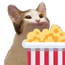 Catpopcorn