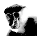 DreadMonke