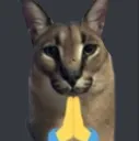 floppa_pray floppa_pray