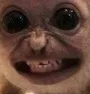 monkerage