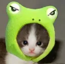 ABCfrogcat ABCfrogcat