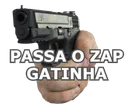 PASSAOZAP