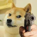 dogegun