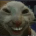 CatSmirk