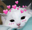 CKN_qt Discord emoji