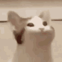 MEOWTFU Discord Emoji