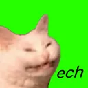 dream_of_ech