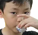 chenletea chenletea