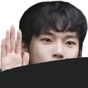 doyounghi