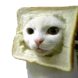 breadcat breadcat