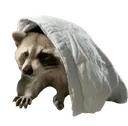 RaccSleep RaccSleep