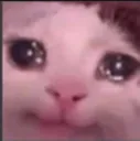 SadJr