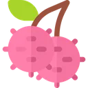 lychee