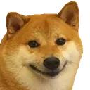 smileycorgi