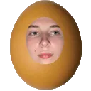 egg