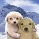 friendship