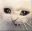 emoji_65