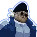 CaptainHopoo