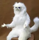 whytho