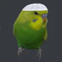hac_limon