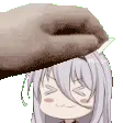 fastsmallpet