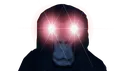 reee