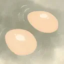 HVCbutt HVCbutt