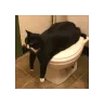 toiletcube