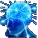 tra_irl