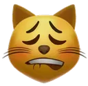 catfuckboi