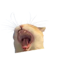 angyponk