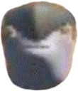 Grunt_wat Grunt_wat