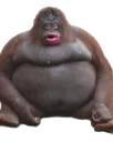 Monke
