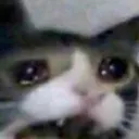 SadCryingCat