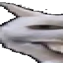 weshwide1