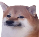 doge Discord emoji