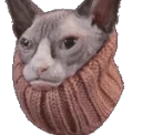 ANGERY