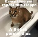 FLOPPA FLOPPA