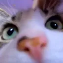 BOBBYstare