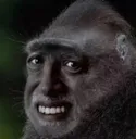 amogh