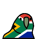 southafricaparrot