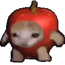 qqqappleboii