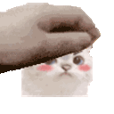 petCat