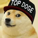 top_doge