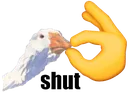 shut