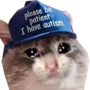 sadcatautism