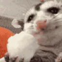 ohungy