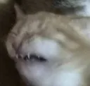 emoji_25