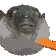 pufferfish