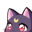 CatPeekFRI